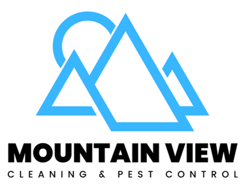 Mountain View Services
